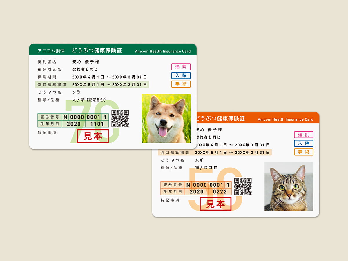 どうぶつ健康保険証
