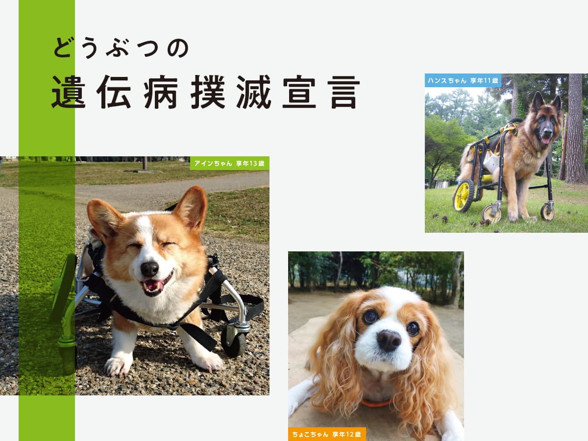 どうぶつの遺伝病撲滅宣言