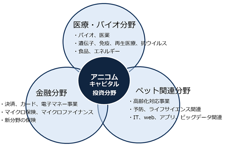 主な投資分野